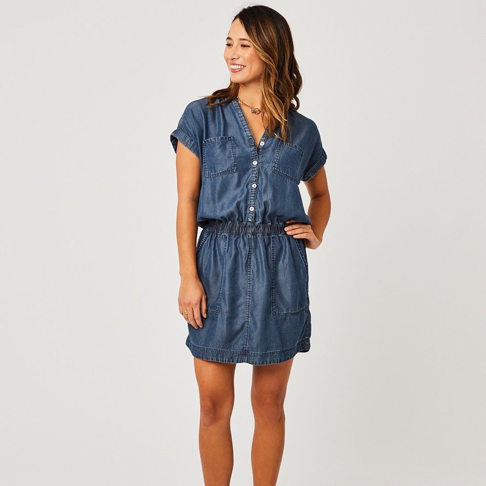 Carve Designs Chambray Dress